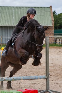 Dark bay horse jumping by Stacy van Zyl Photography